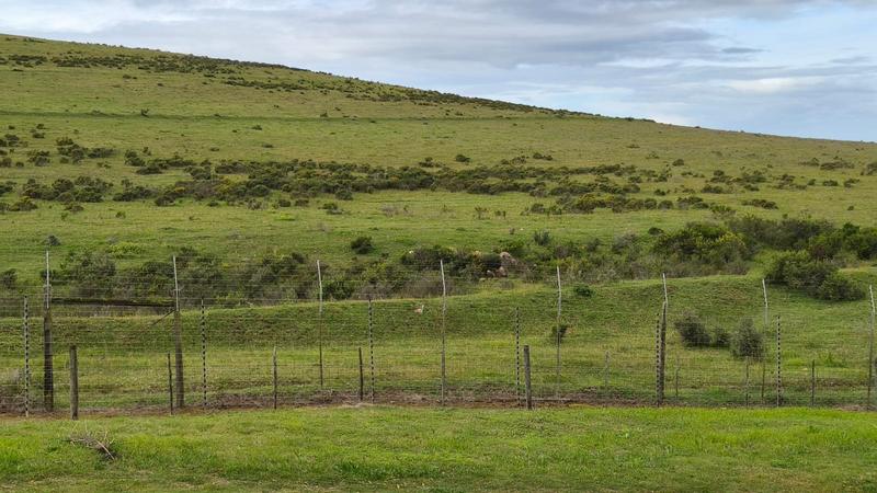 0 Bedroom Property for Sale in Monte Christo Western Cape